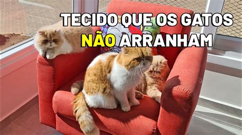 TECIDO PARA SOFÁ QUE GATO NÃO ARRANHA - Gatil Hauser - YouTube