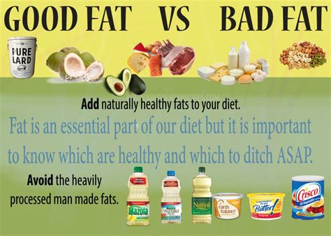 Fats and Oils 101: Healthy or Unhealthy? | Healthy fats, Good fats, Healthy