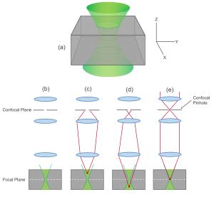 Confocal Microscope Light Source Function | Americanwarmoms.org