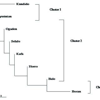 Unrooted Neighbor Joining Dendrogram Constructed From Slatkin S