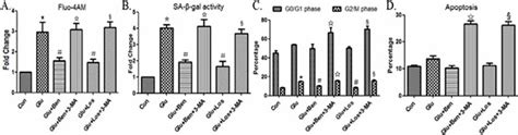 3 MA Abolished Benazepril Or Losartan Mediated Beneficial Effects In