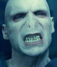 Harry x Voldemort o duelo final Resistência Nerd Seu ponto de