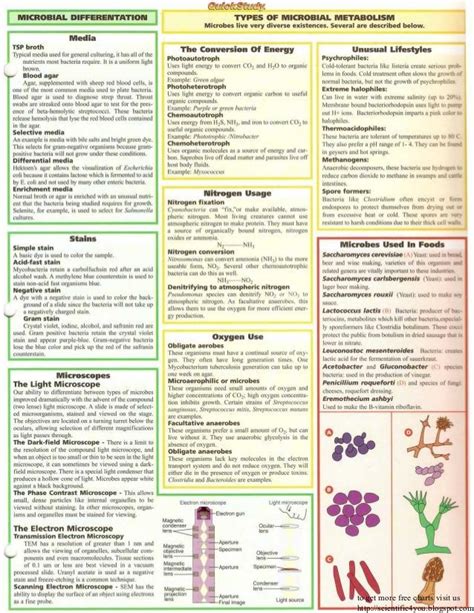 Microbiology Media Chart A Visual Reference Of Charts Chart Master