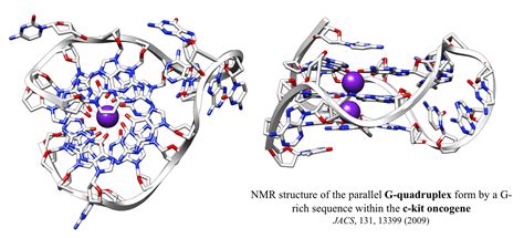 G Quadruplexes Balasubramanian Lab