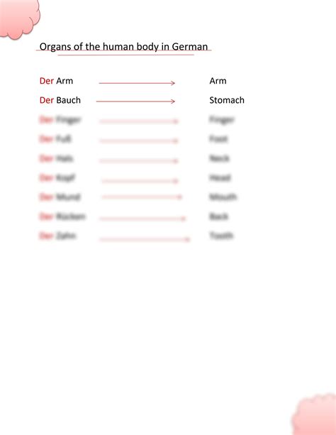 Solution Organs Of The Human Body In German Studypool