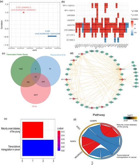 Epithelial Mesenchymal Transition Related Genes In Coronary Artery Disease