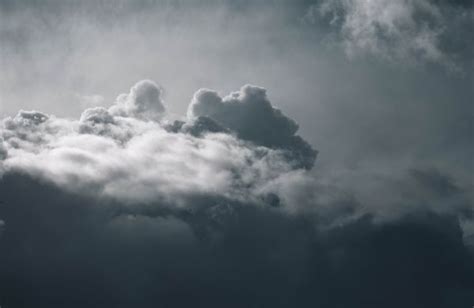 Bildet natur vinter lett Sky svart og hvit himmel tåke sollys