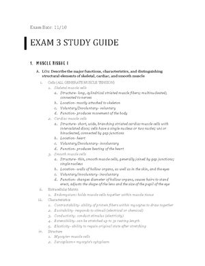 Bsc Anatomy And Physiology Exam I Study Guide Bsc Anatomy