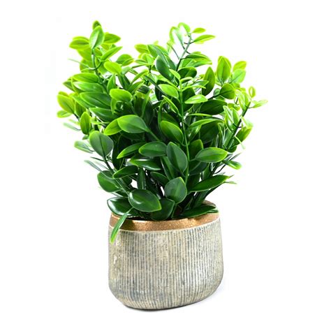 Kwiaty Zielony Parapet - Niska cena na Allegro