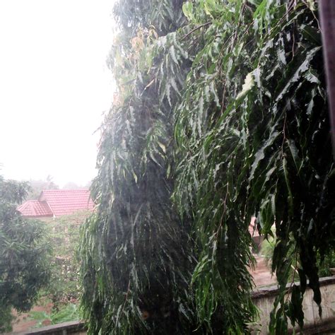 The temperature of Dar es salaam is decreasing more than usual