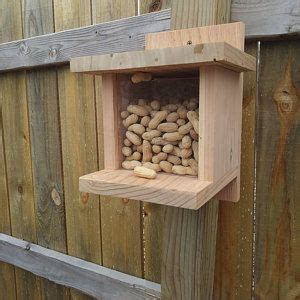 Raw Cedar Songbird Roosting Box With Cleanout X X Etsy Cedar