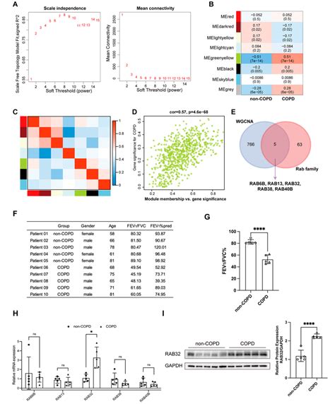 Identification Of Key Rab Genes Associated With Copd Pathogenesis Using