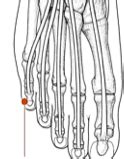 Sinew Channel Luo Pathways Flashcards Quizlet