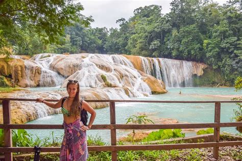 Guide to Visiting the BEST Waterfalls in Palenque (that you can't miss!)