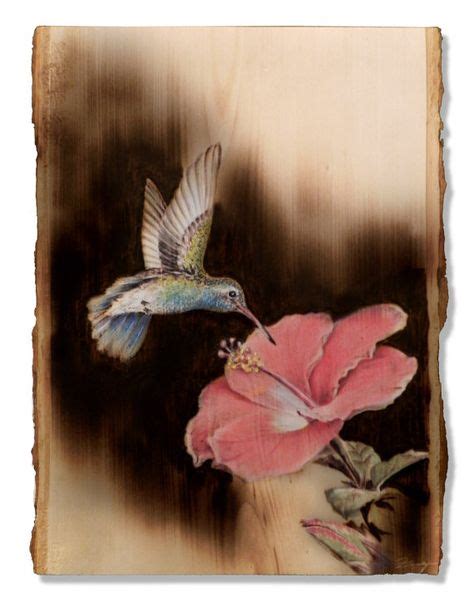 Hummingbird Wood Burning Patterns Wood Burning Crafts Pyrography Art