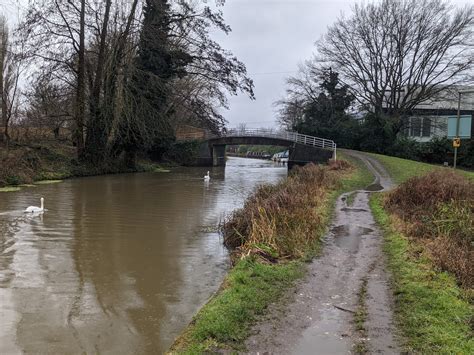 The River Wey & Weybridge Loop - 7.2km - Surrey Walks