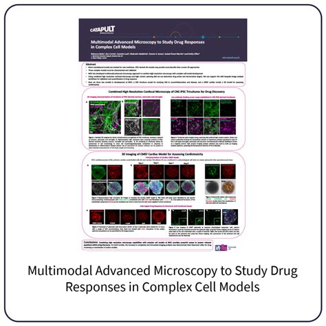 Advanced Microscopy Drug Responses