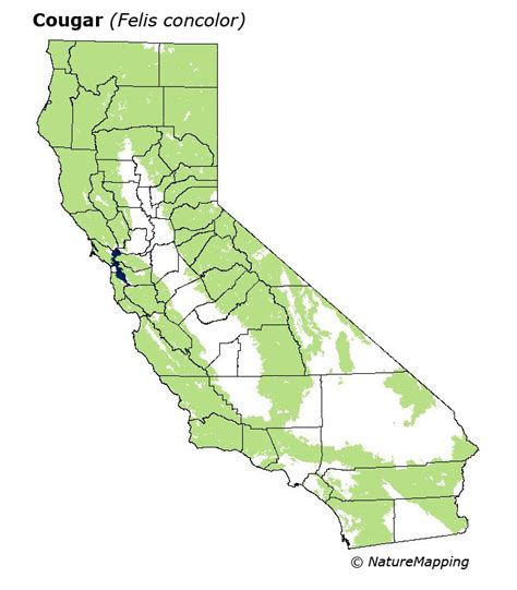 Mountain Lion Range Map - Caril Cortney