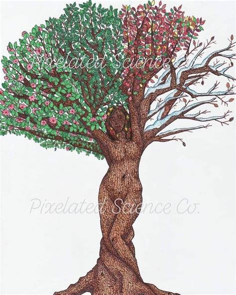 Tree Of Life Print Mother Daughter Woman Depicted As An Oak Tree