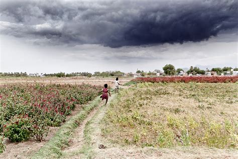 FARMLAND - Tamil Nadu Organic Farming I | Behance