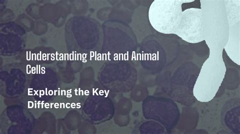 Understanding Plant and Animal Cells by Grahti Upadhyay on Prezi