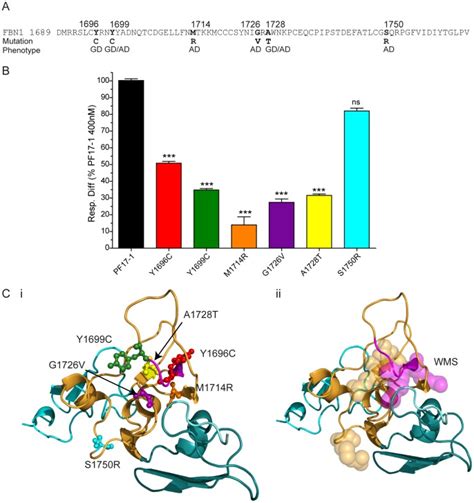 A Sequence Of Human Fbn 1 Tb5 Indicating The Fibrillin 1 Residue Download Scientific Diagram