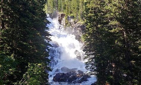 Moose, WY 2023: Best Places to Visit - Tripadvisor