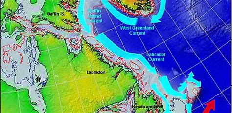 cómo acortar marxismo humboldt current map Extremadamente importante necesidad Intrusión