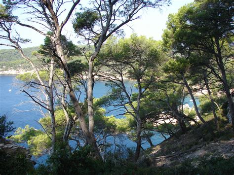 Photo à Bandol 83150 Sur le Sentier du Littoral Bandol 41421