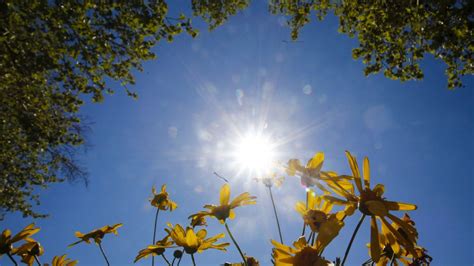 Cuándo empieza la primavera en Chile 24horas