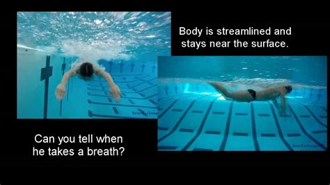 Butterfly Stroke Diagram