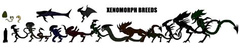 Xenomorph Types