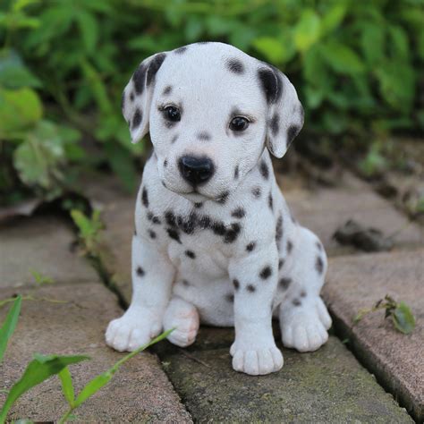 Hi-Line Gift Ltd. Dalmatian Puppy Statue & Reviews | Wayfair