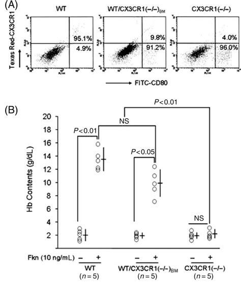 Figure From Activation Of Fractalkine Cx Cr By Vascular Endothelial