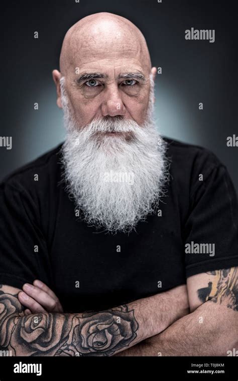 studio portrait of a bald man with tattooed arms and white beard Stock Photo - Alamy