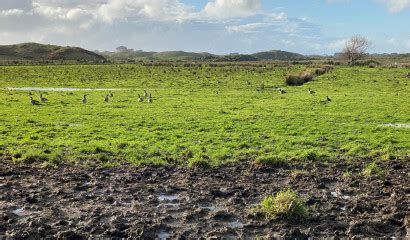 Greater Wellington — Climate change and sustainability