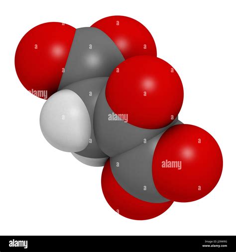 Oxaloacetic Acid Oxaloacetate Metabolic Intermediate Molecule 3d