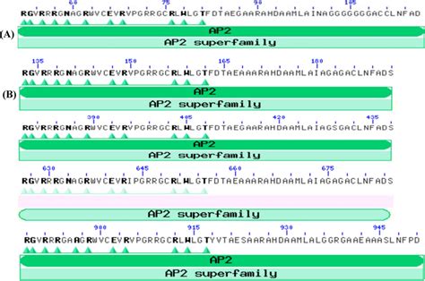 Conserved Domain Analysis Of Selected Genes A Rice DREB1A With Single