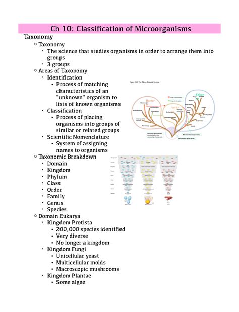 Chapter 10 Notes - Josh Dillard - Ch 10: Classification of
