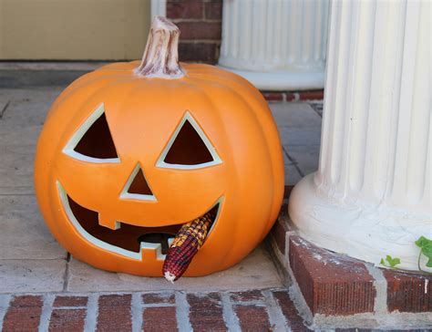 Decorative Halloween Pumpkin with Corn Cob Accent · Free Stock Photo
