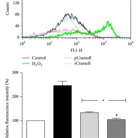 Cytoprotective Effects Of PCramoll And RCramoll Determined By MTT