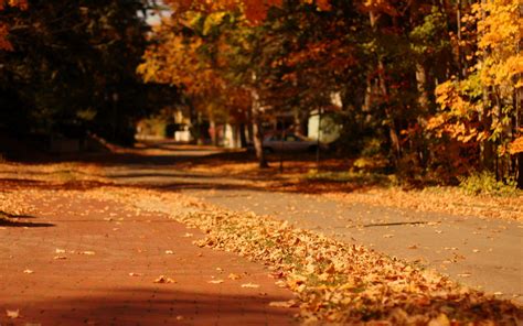 Autumn Street Wallpapers - Top Free Autumn Street Backgrounds ...