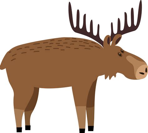 Cute moose flat illustration. Deer, reindeer with big antlers. Woodland ...