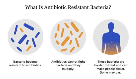 Taking Antiobiotics Safely How They Work Types And Side Effects