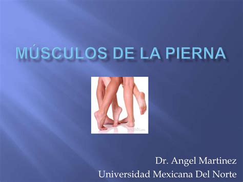 PDF Músculos de la pierna tema 8 DOKUMEN TIPS