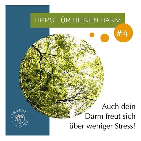 Wie Wirkt Sich Stress Auf Deinen Darm Aus Was Sind Negative Folgen F R