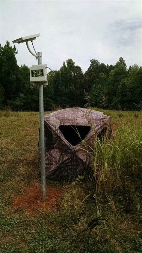 The new Hog Hunting Setup thanks to Sniper Hog Lights! Camping Hacks, Camping Food, Hog Hunting ...