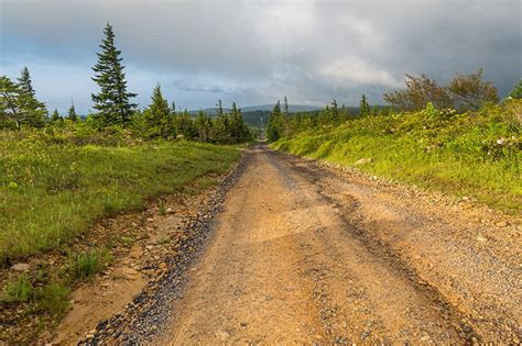 Chasing The Wild Guide To Dolly Sods Wv And Other Wilderness Locations