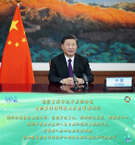 海报：习近平在联合国生物多样性峰会上发表重要讲话 国内要闻 烟台新闻网 胶东在线 国家批准的重点新闻网站