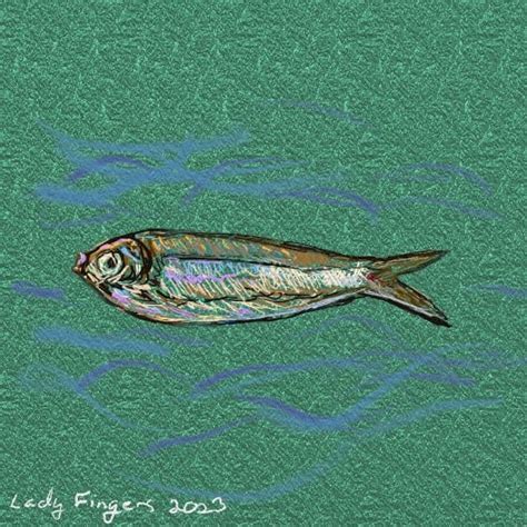 2nd Ever Sardine Drawing Dining And Cooking